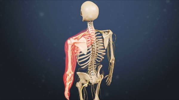 myelopathie cervico arthrosique myelopathie cervicarthrosique et fatigue myelopathie cervicarthrosique irm espace francilien du rachis clinique du rachis versailles paris 2